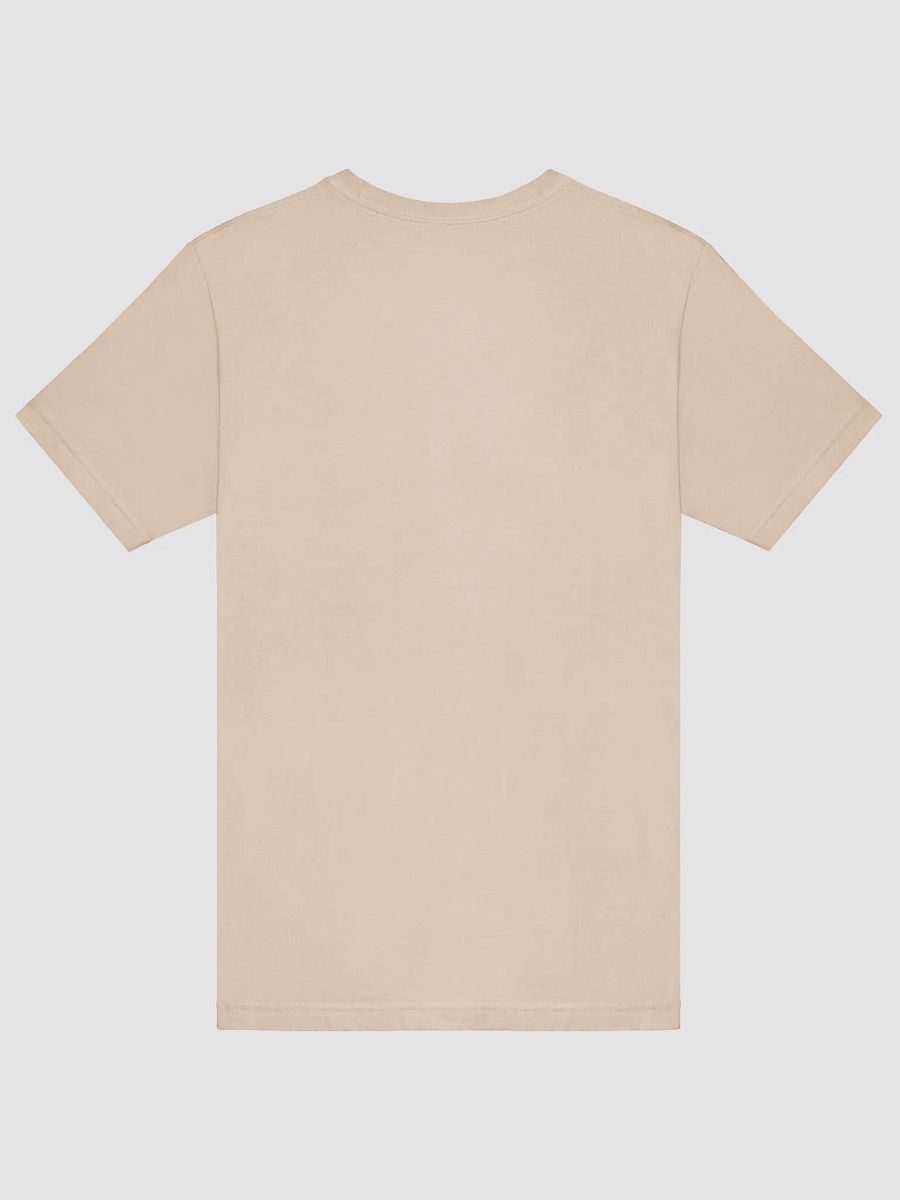 Pride Vibes T-Shirt product image (54)