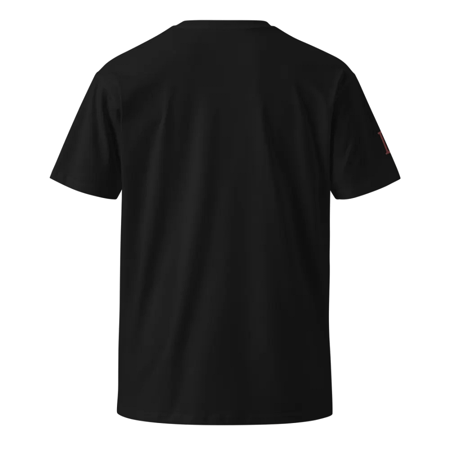 Best Days Ahead, Stay Positive Always, Motivational Graphic Tee, Future Looks Bright, Inspiration You Wear, Positive Mindset Tee product image (1)