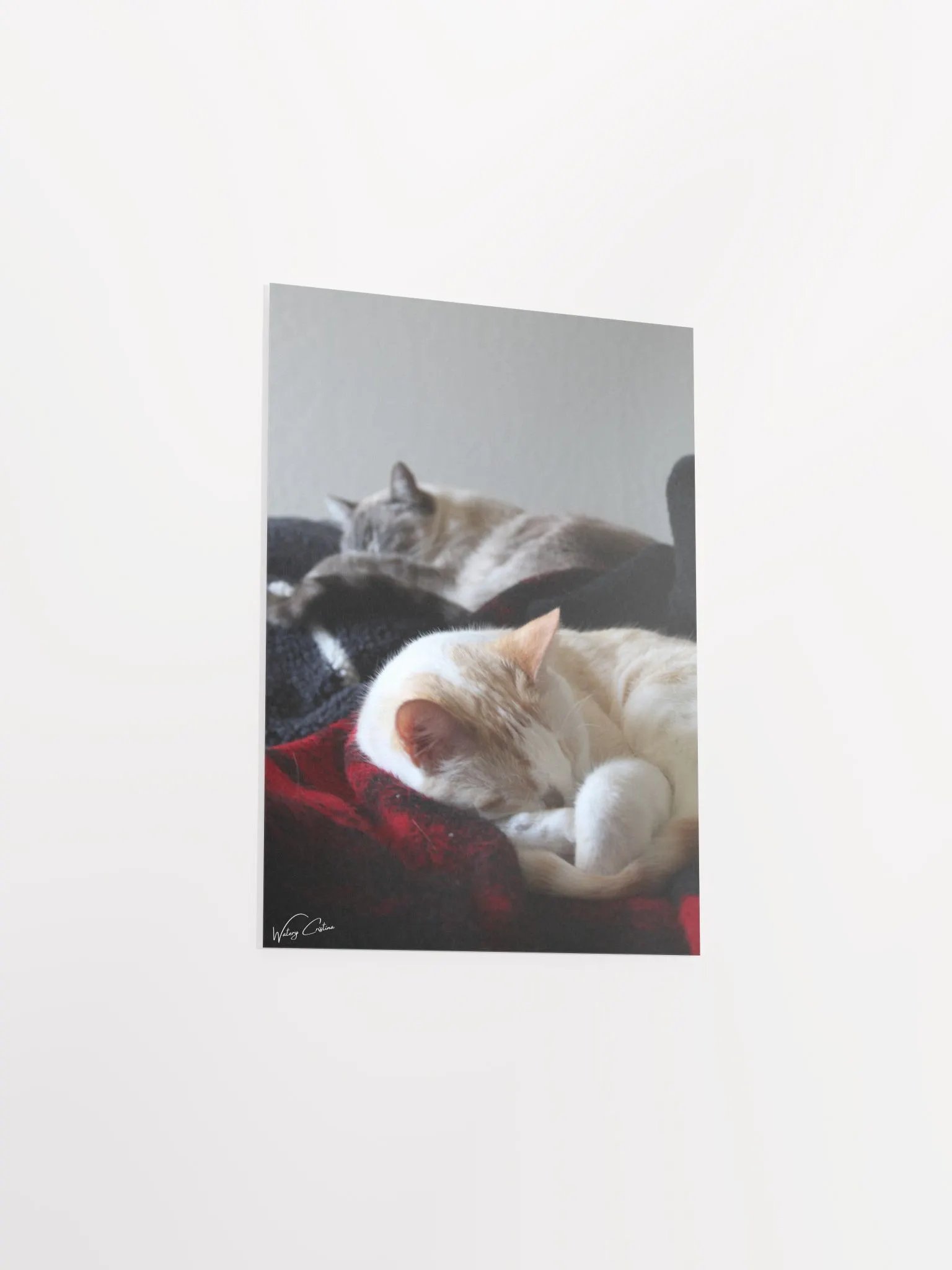 Sleepy Boys Print product image (5)
