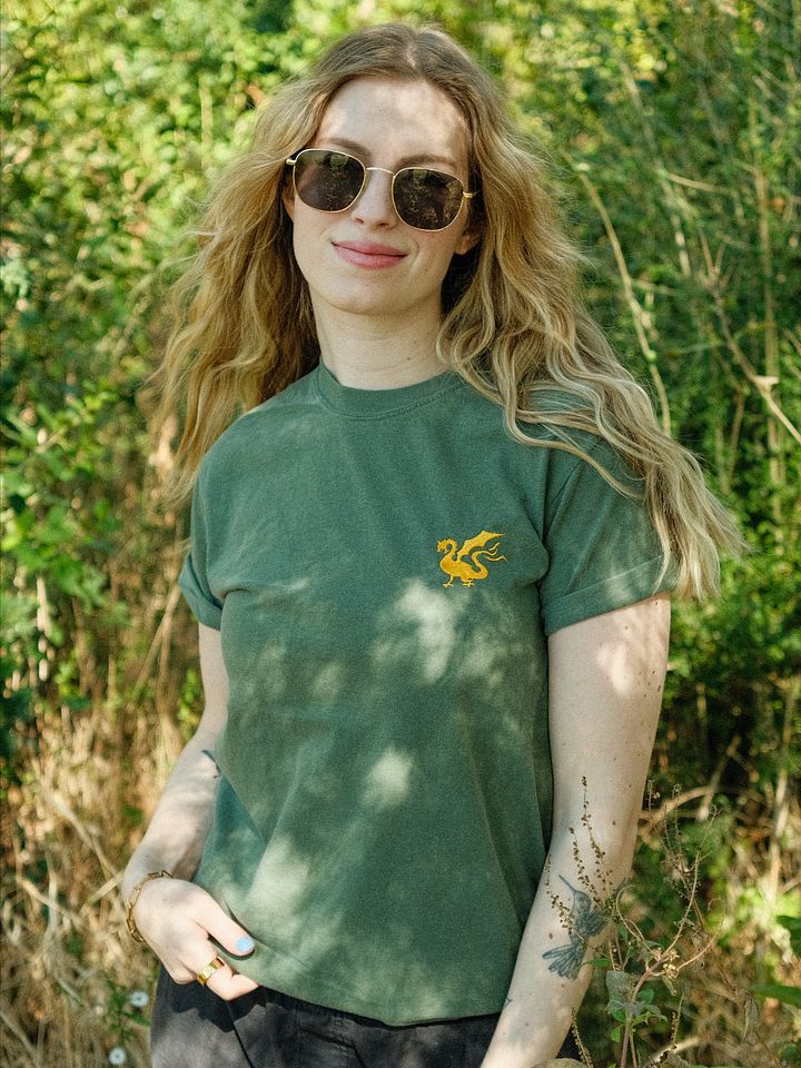 Stinky Dragon Embroidered Tee product image (1)
