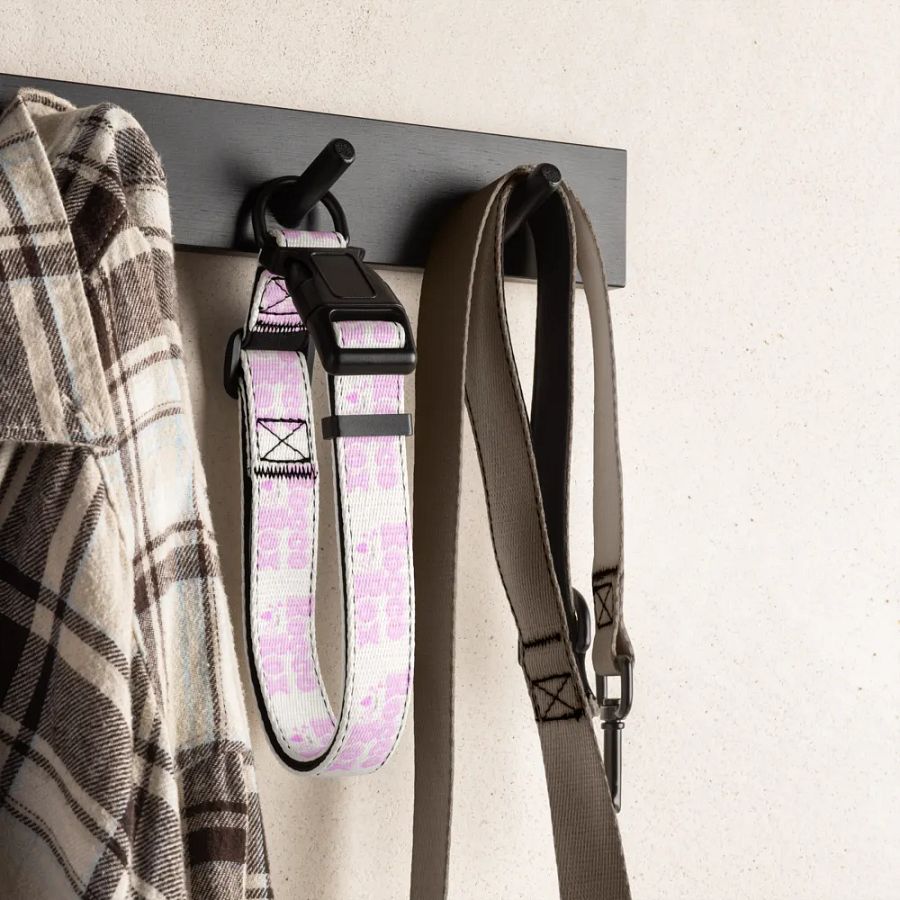 RoccoRox Dog Collar Size Large product image (7)