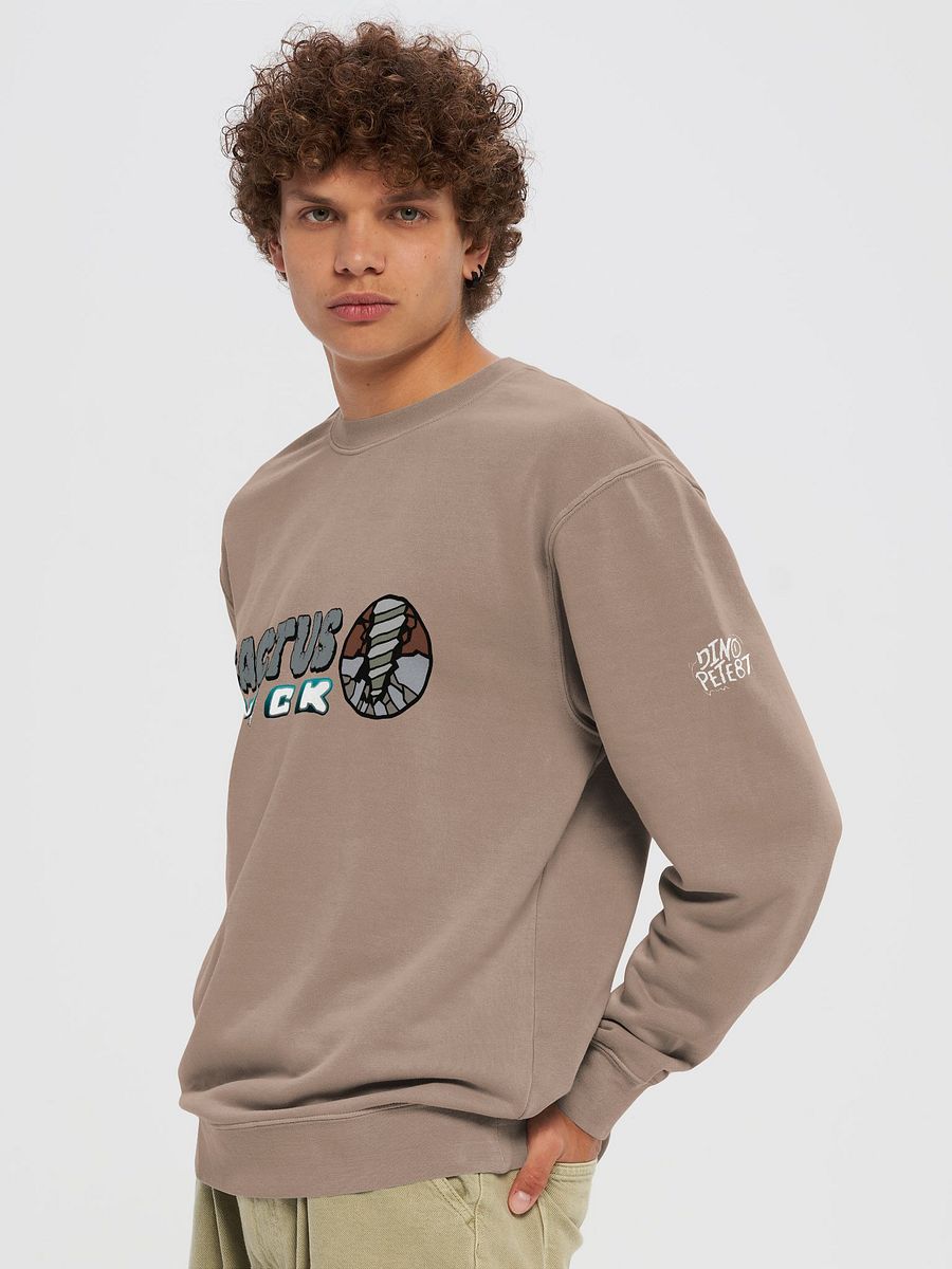 Cactus Brick (Sweater) - Rocky product image (23)