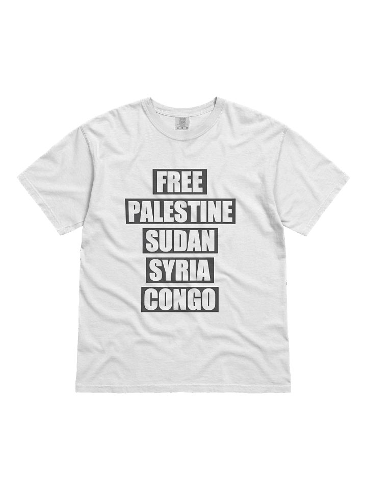 Free Palestine Sudan Syria Congo Shirt product image (1)