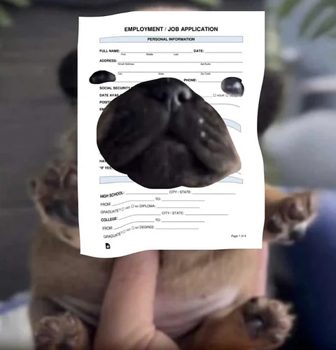 The first annual pibbleween costume contest has concluded. Thanks to all that participated. Next year we will have 31 winners...