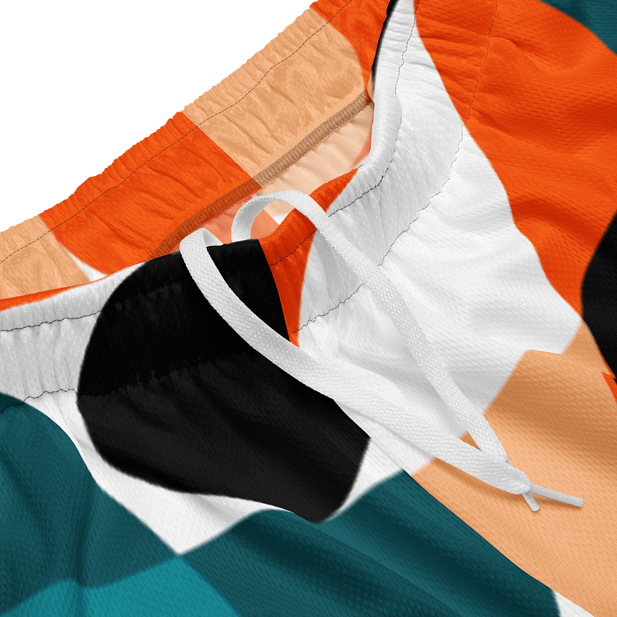 SC Mesh Shorts product image (3)