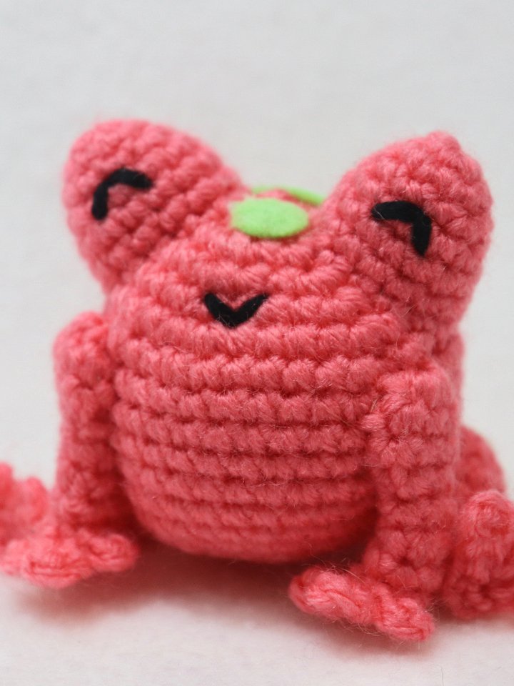 Pink and Green Frog product image (1)