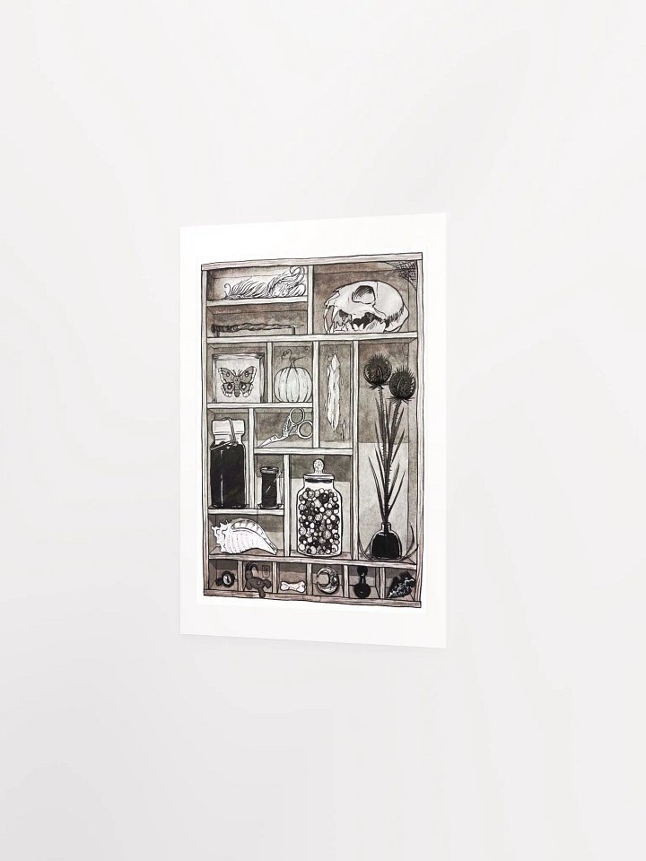 Cabinet of Curiosities Art Print product image (3)