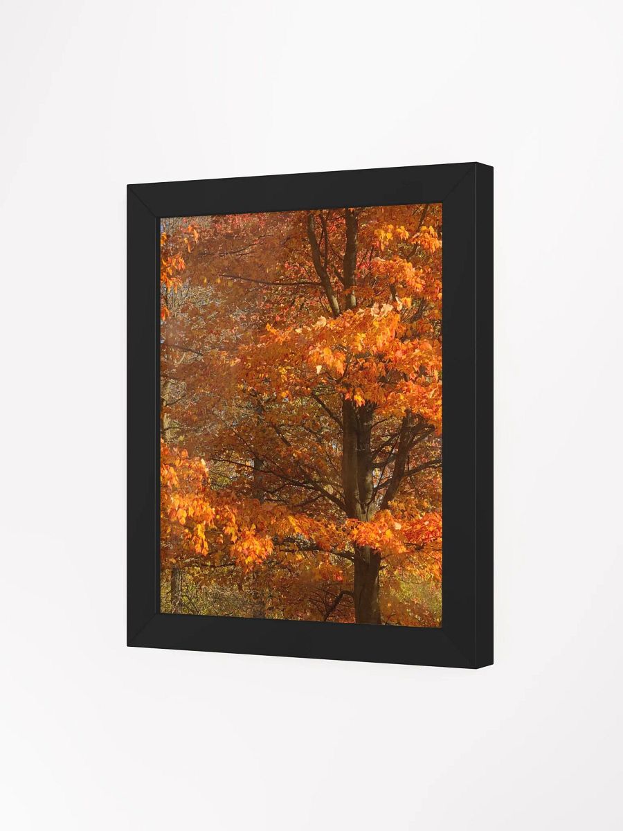 Orange Fall Leaves High Quality Matte Poster product image (3)