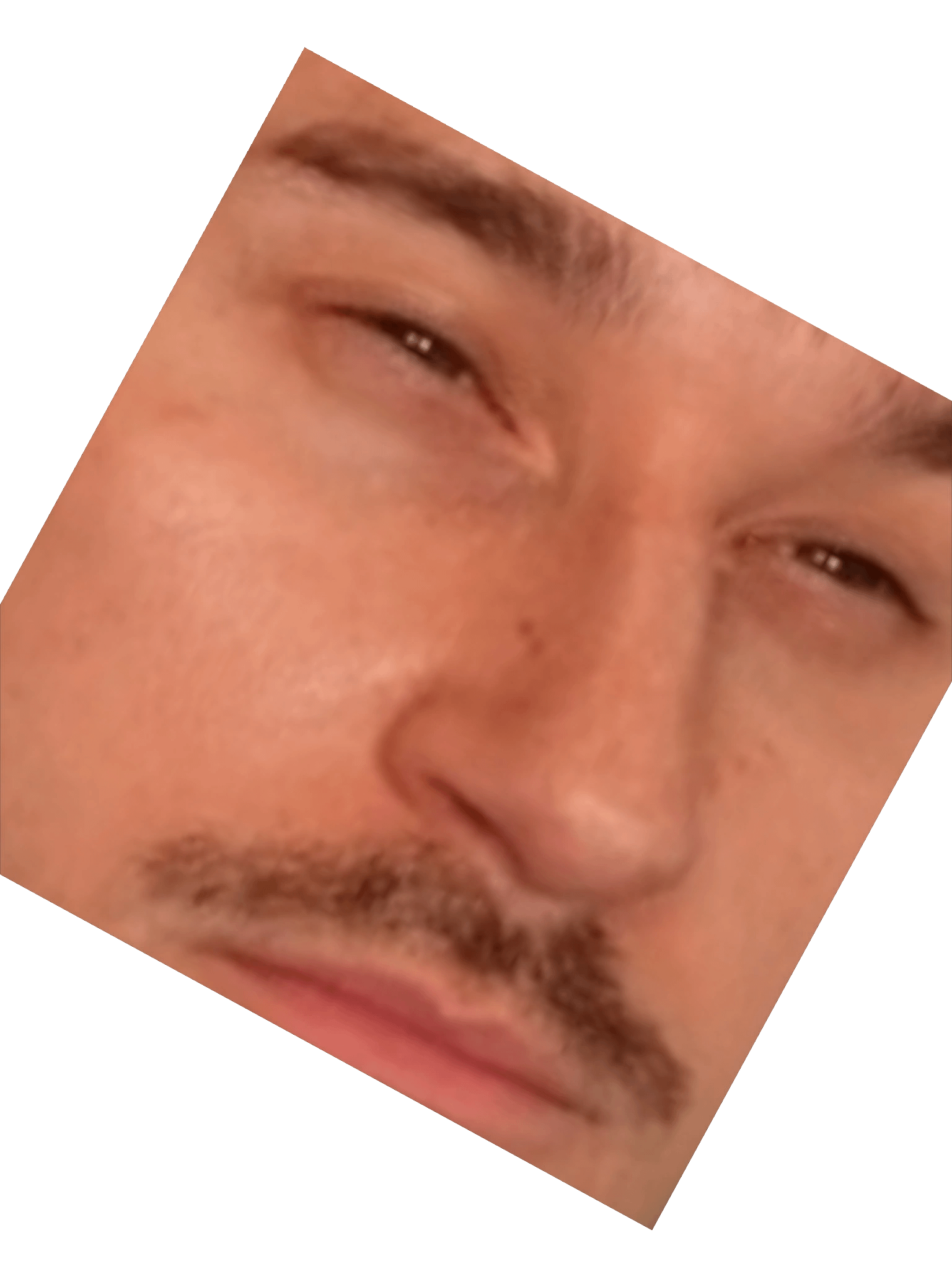 BradleyTheBradster SUS Face Stickers product image (5)