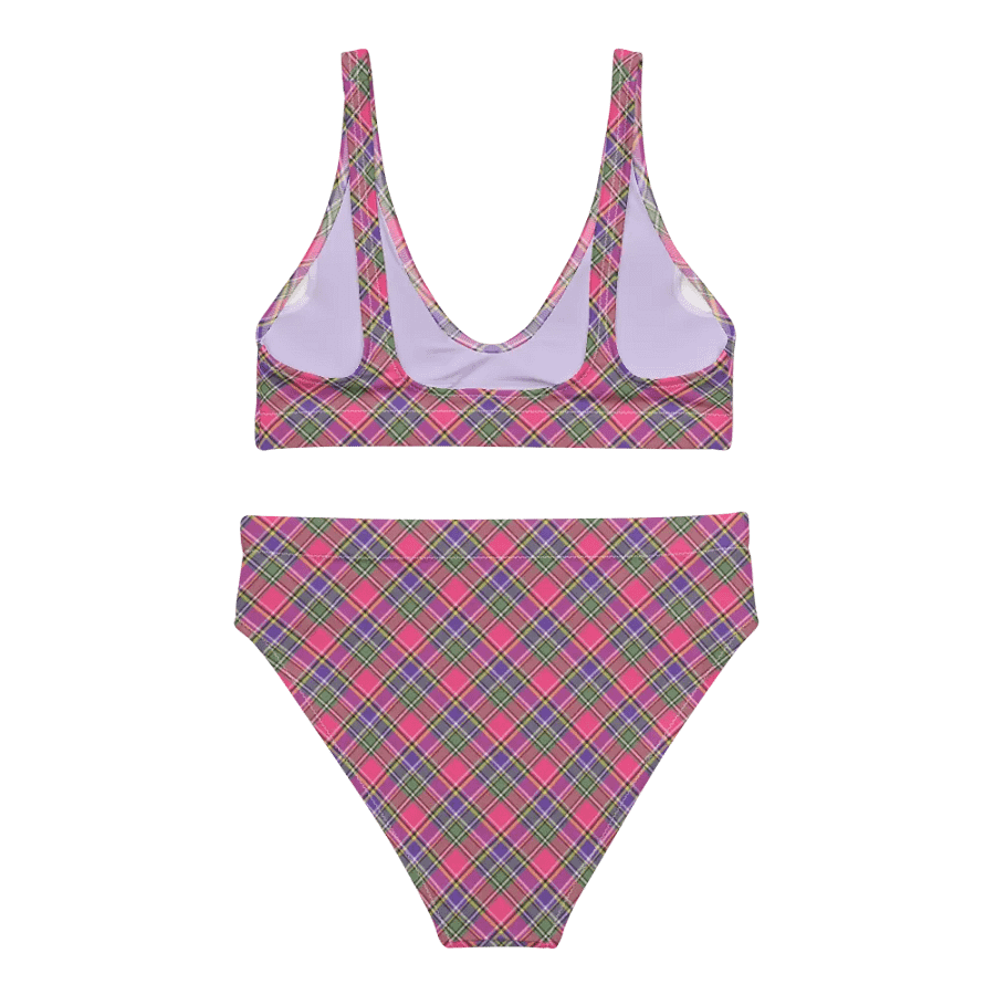 Pink and Purple Vintage Plaid Bikini product image (4)