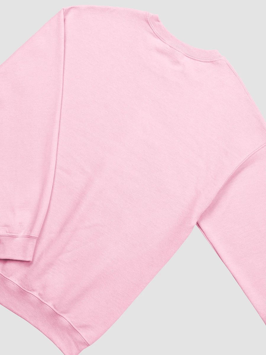 The Zhiera Sweatshirt for all Pally Pals! product image (4)