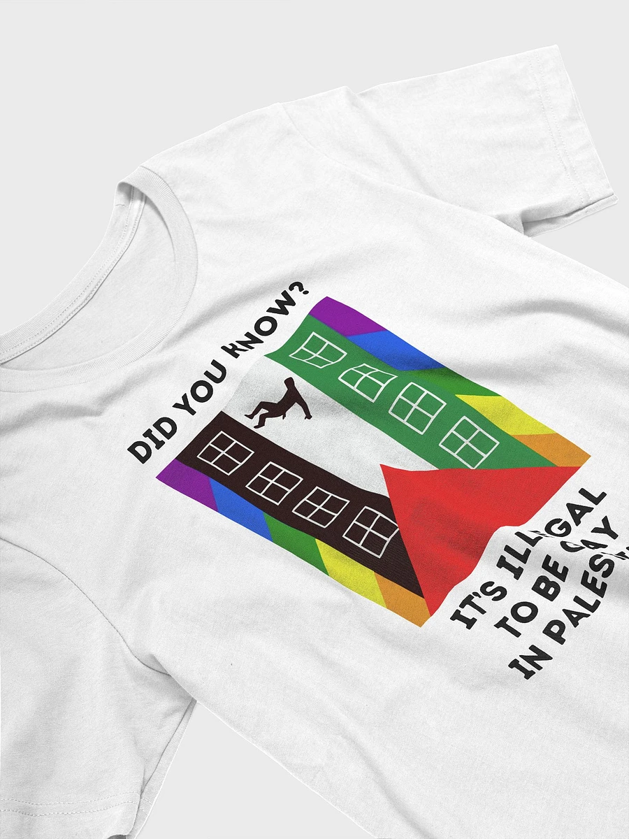 Queers for Palestine Shirt product image (3)