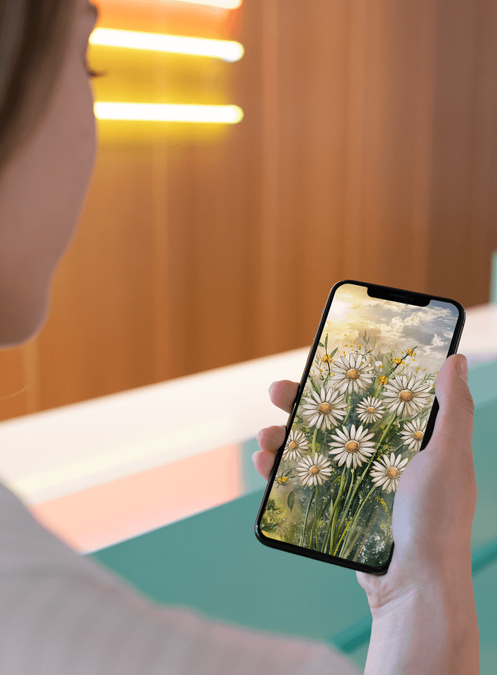 Daises - iPhone Wallpaper product image (2)