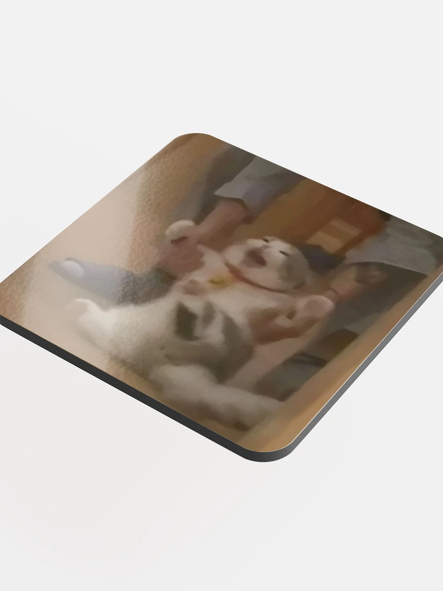 Glossed Cork Coaster: Meme Cats product image (4)