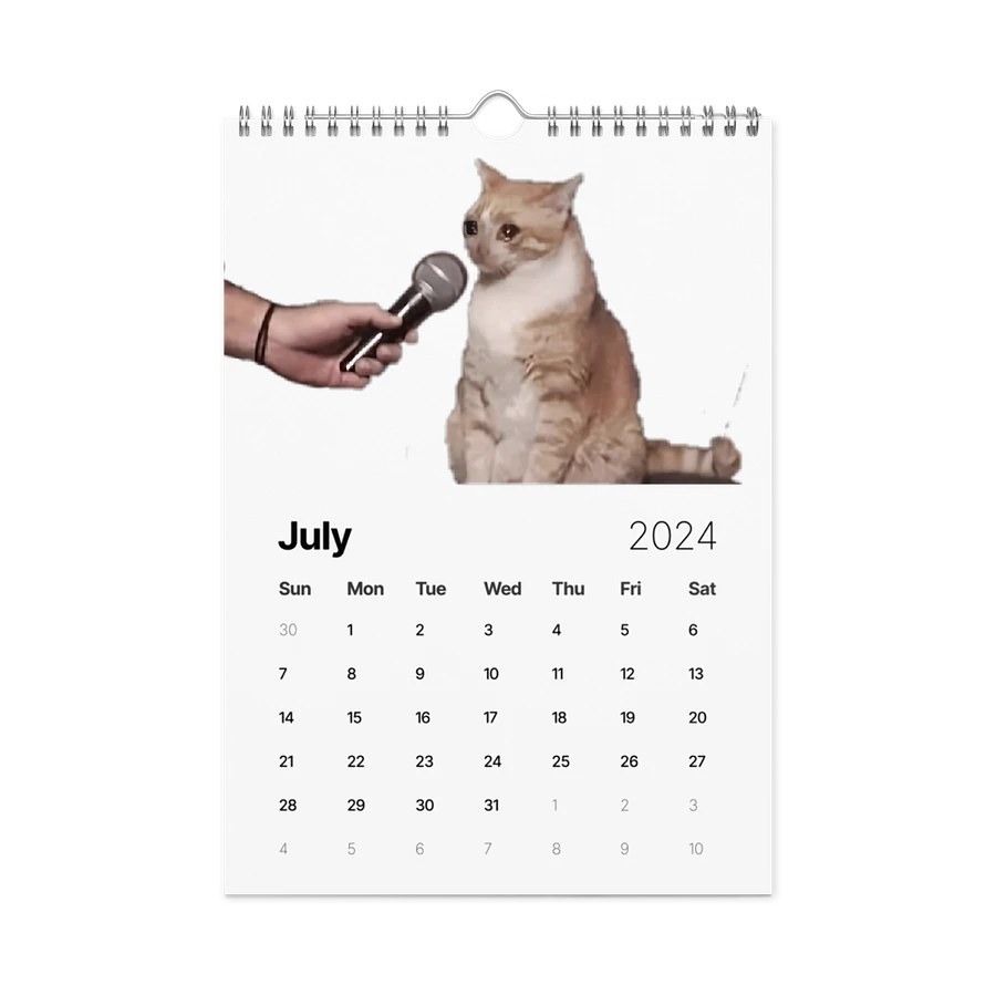 Wall Calendar (2024): Meme Cats product image (10)