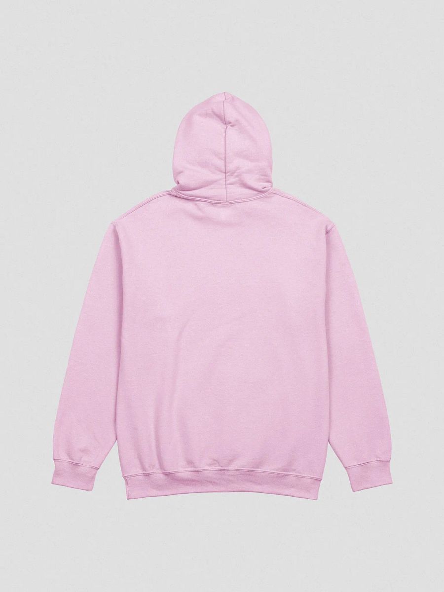 BCA Hoodie product image (2)