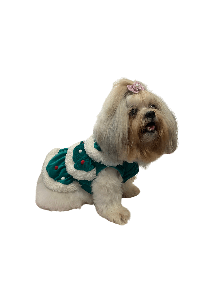 Vestido Pet Árvore Encantada - Modelagem Pet PDF product image (2)