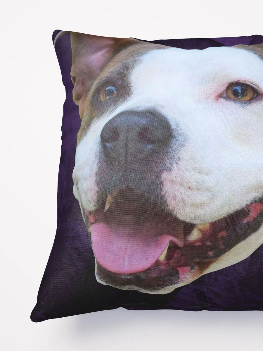 Rey Pillow product image (5)