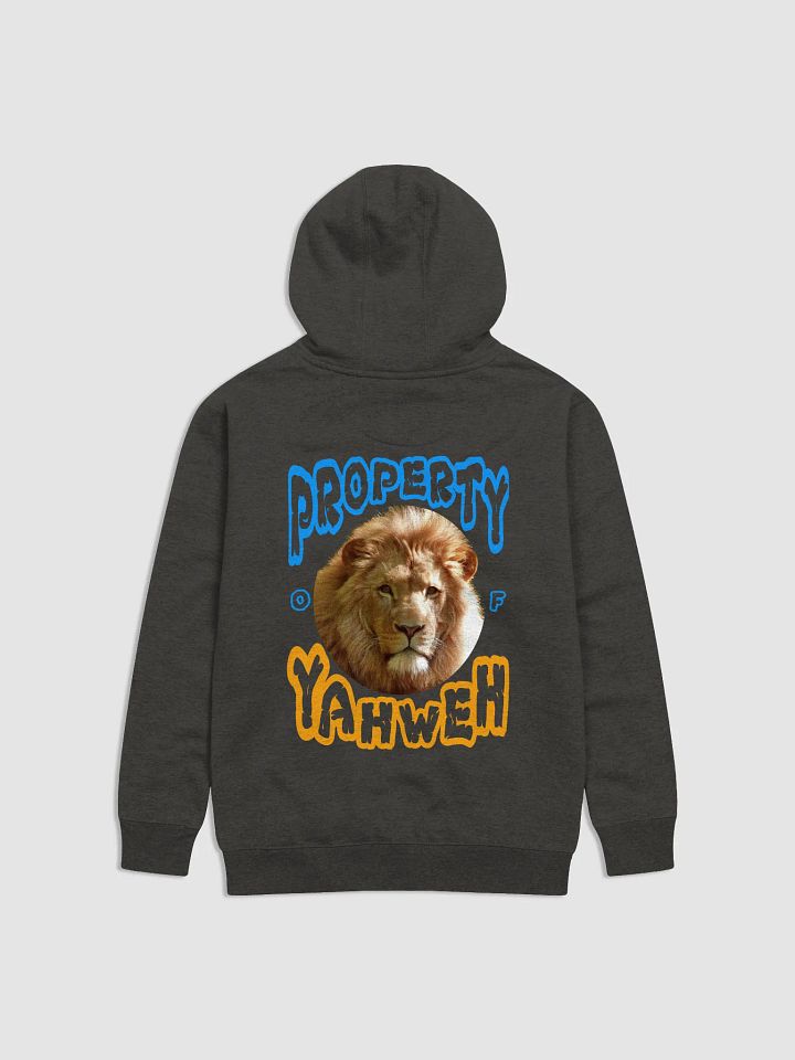 Child of God Unisex Hoodie product image (9)