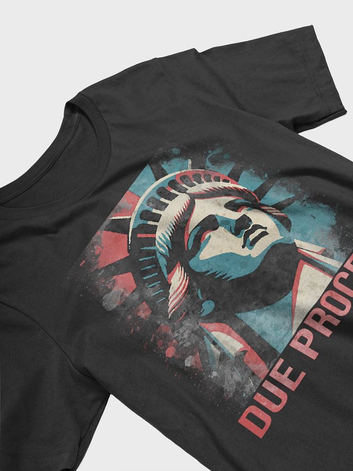 Due Process Liberty T-Shirt - Being Liberal product image (2)