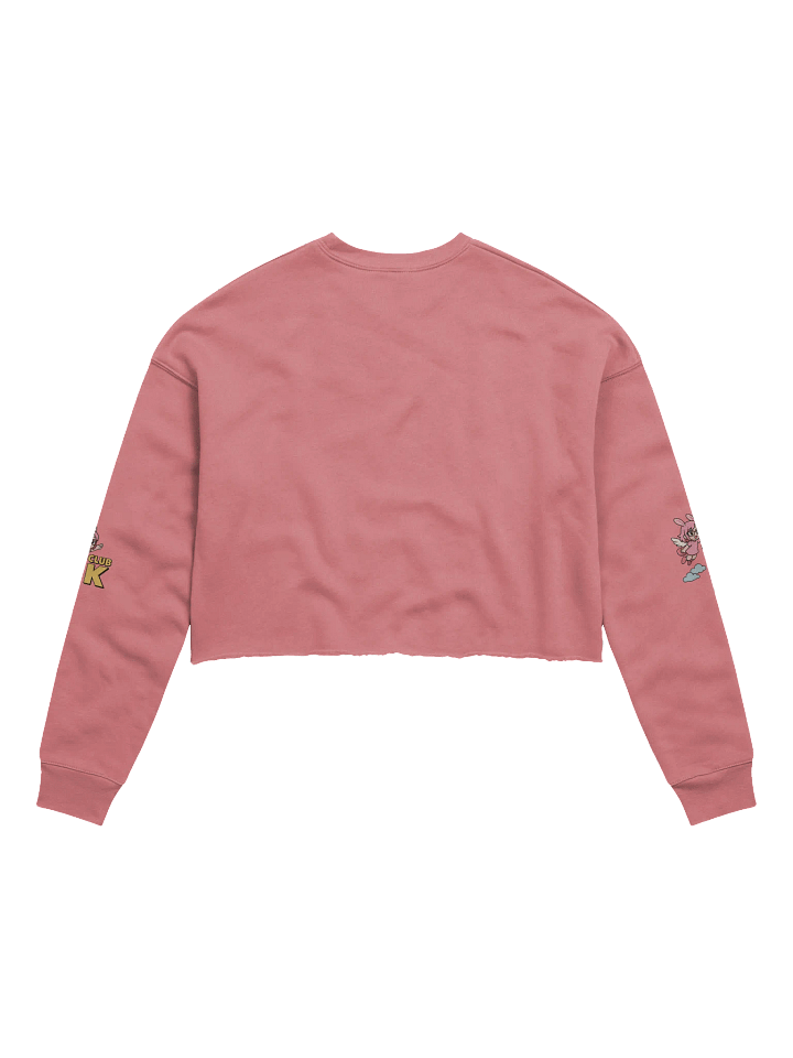 Super K's Club Crop Sweatshirt product image (2)