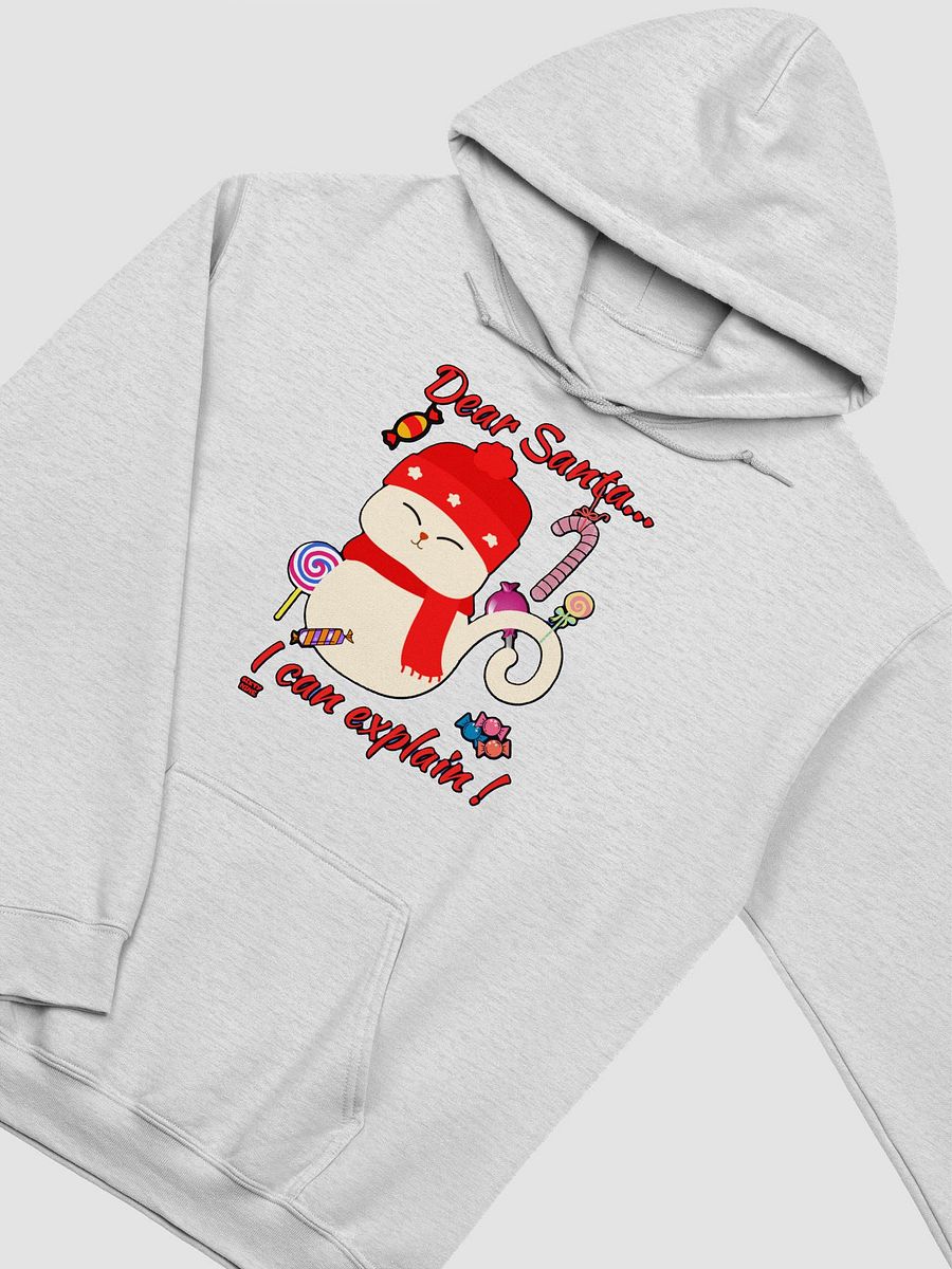 DEAR SANTA, I CAN EXPLAIN! product image (31)