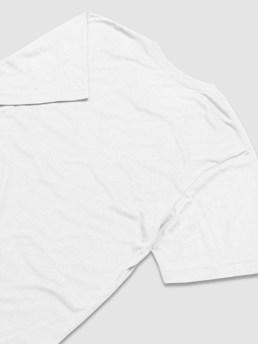 Bias Wrecker Triblend T-Shirt product image (36)