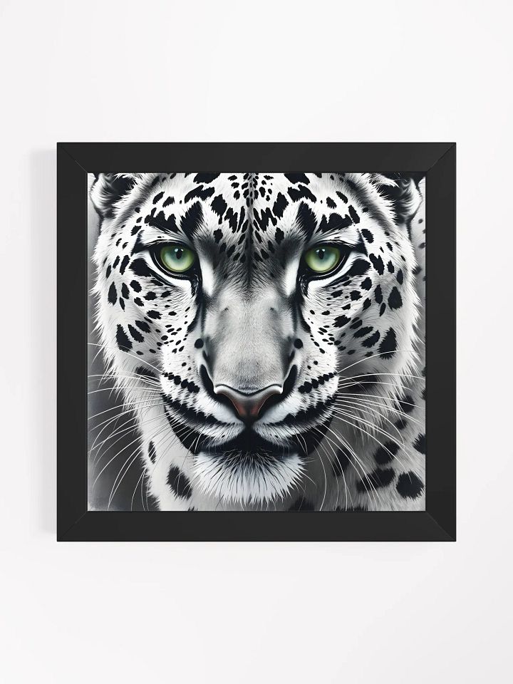 Snowleopard product image (1)