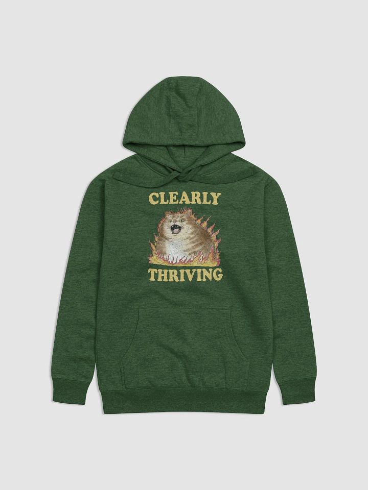 Clearly Thriving Hoodie (BB x CH) product image (1)