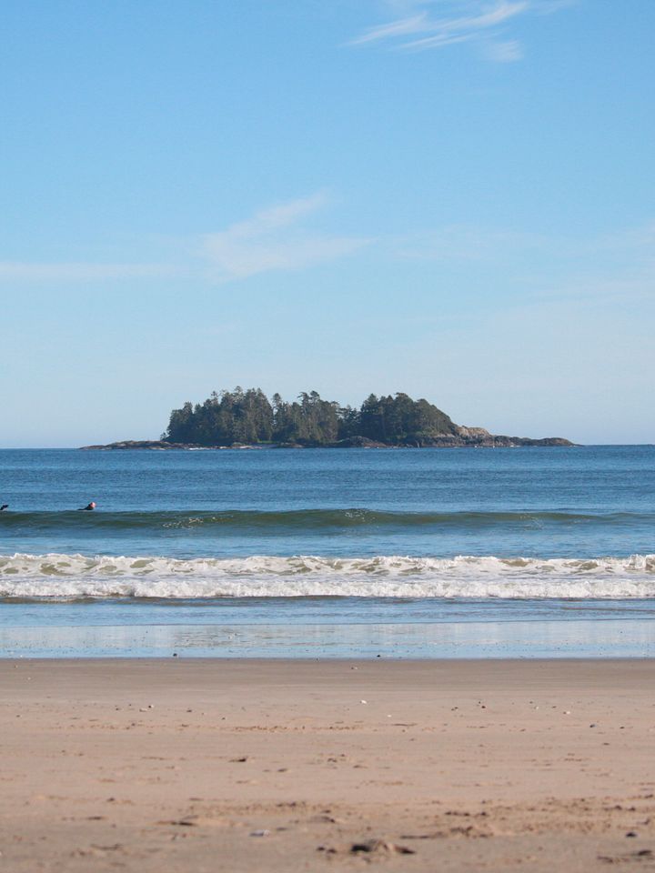 Wild Pacific Light product image (2)