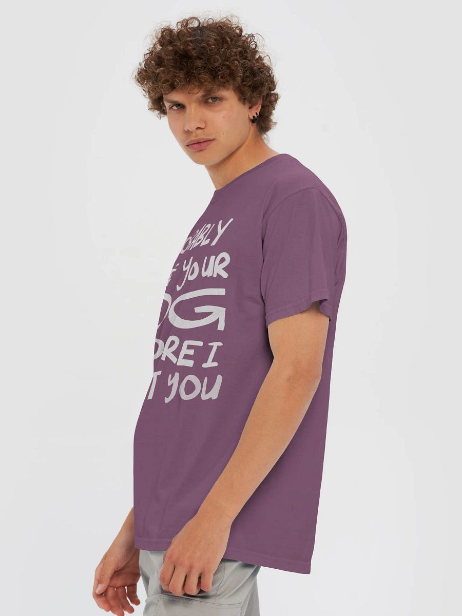 I'll Probably Greet Your Dog First Relaxed Tee product image (5)