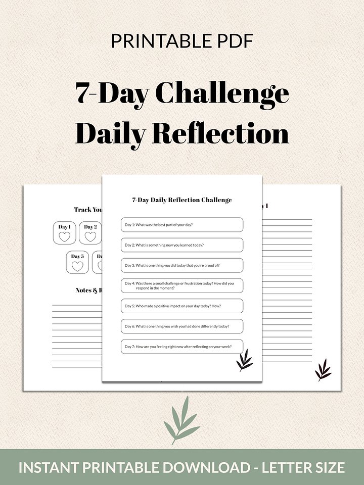 7-Day Daily Reflection Challenge Printable product image (2)