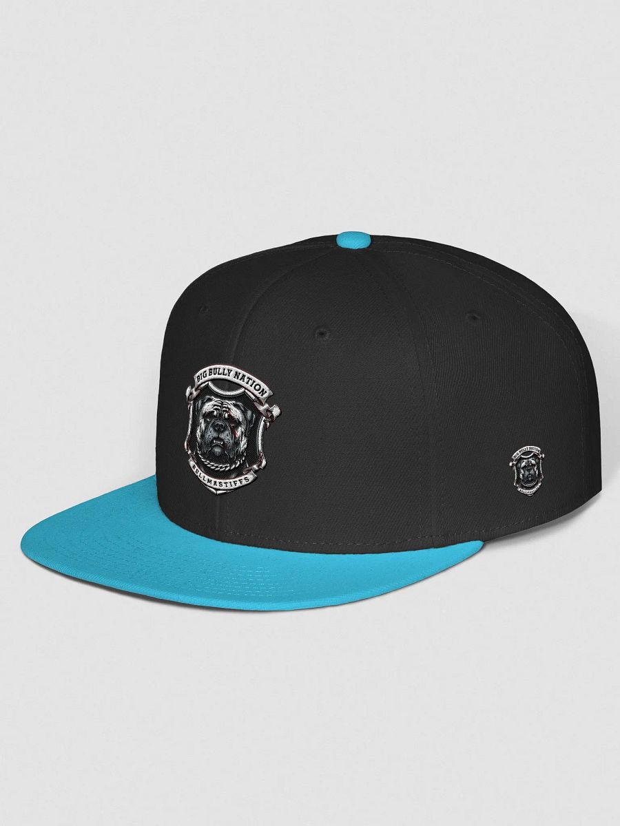 BBN Alter Ego Snapback Cap product image (24)