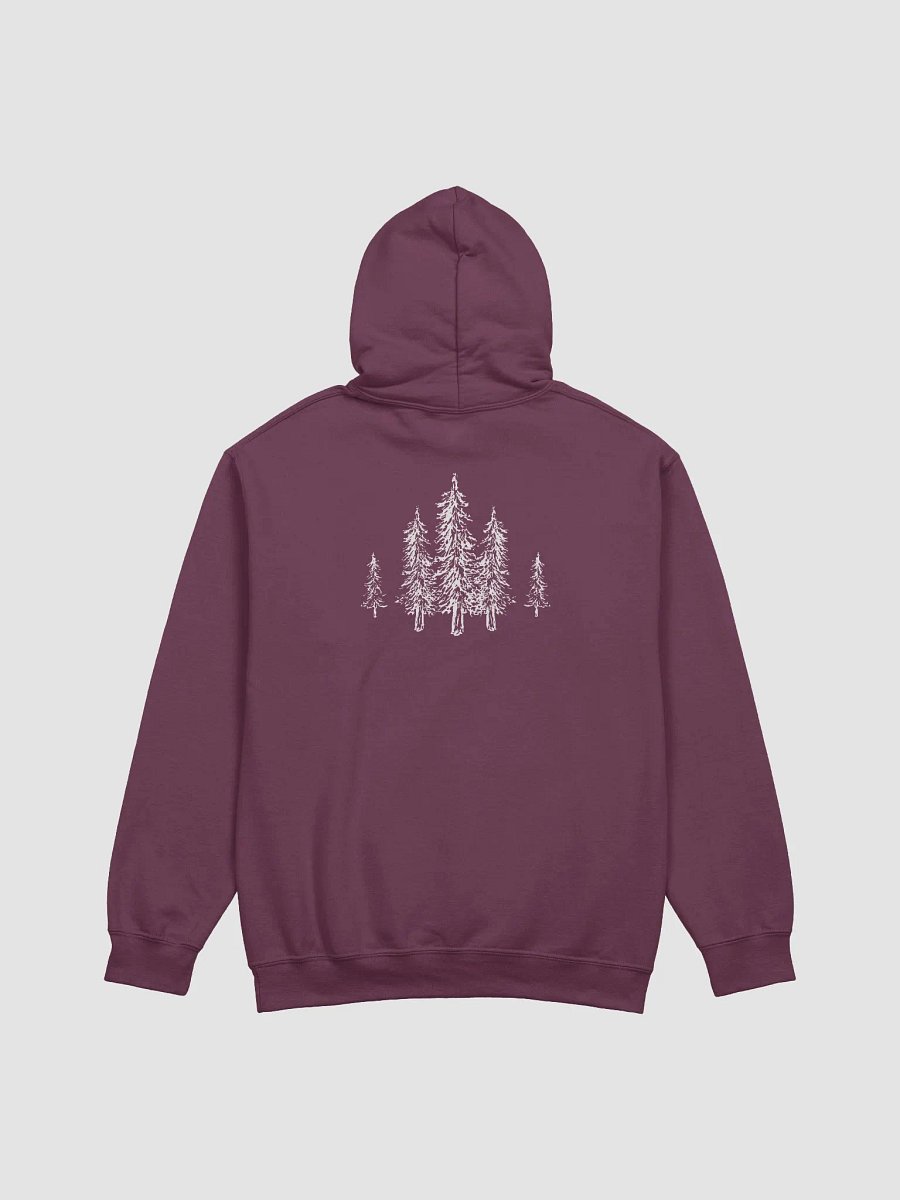 LIMINAL Hoodie product image (2)
