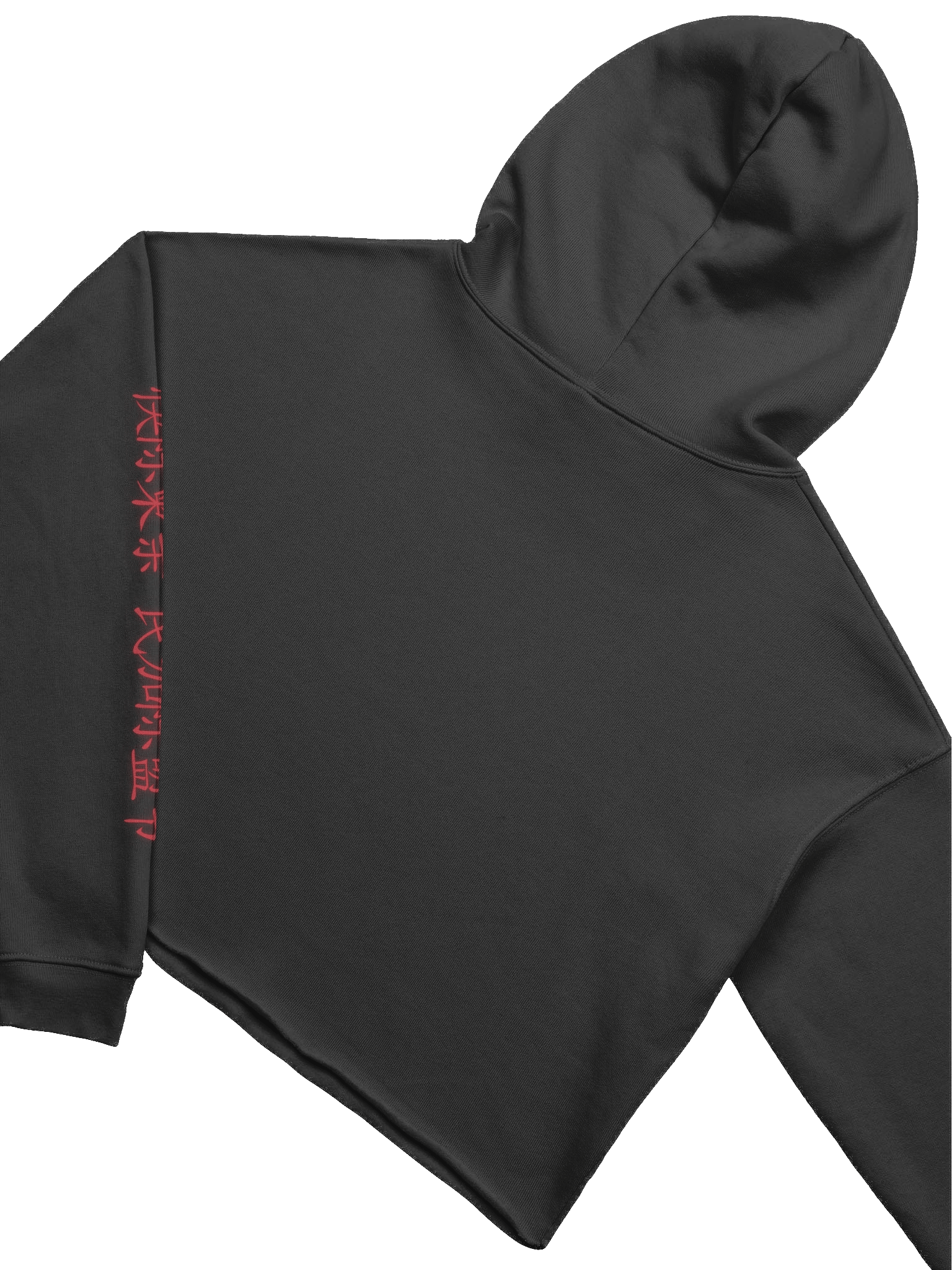 ALTER EGO III Crop Hoodie product image (4)