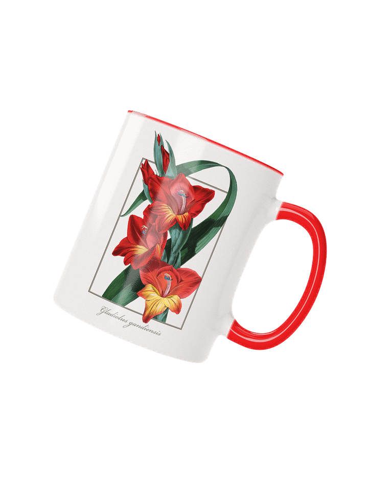 Gladiolus Gandiensis Flower - mug product image (4)