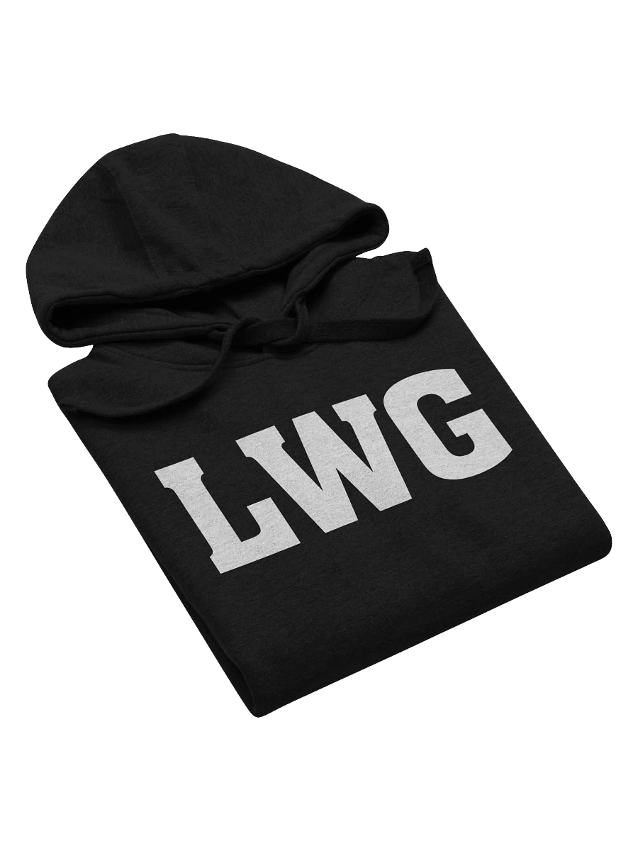 LWG Bold Unisex Hoodie product image (27)