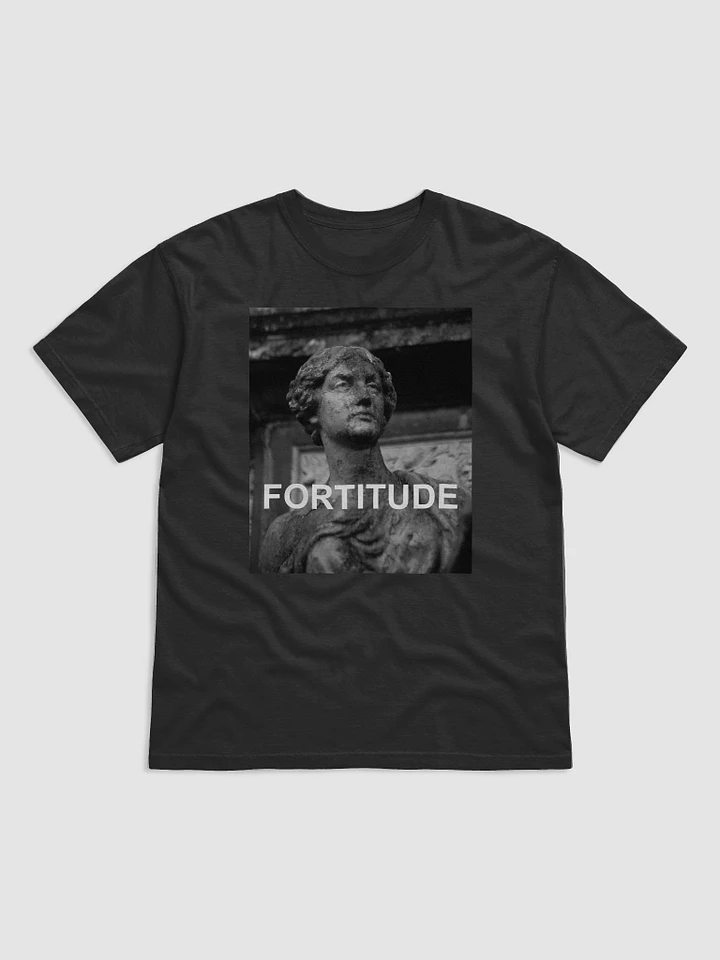 Fortitude T-Shirt product image (1)