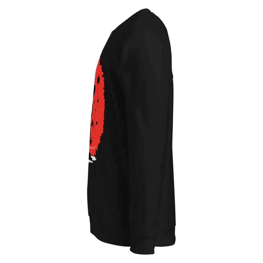SOL'S Unisex Organic Raglan Sweatshirt product image (3)