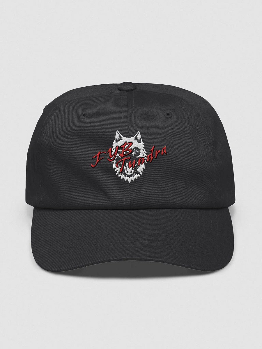 FYB First Hat product image (1)