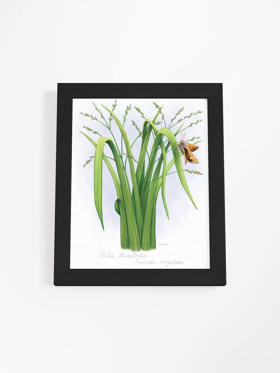 Skipper Butterfly product image (7)