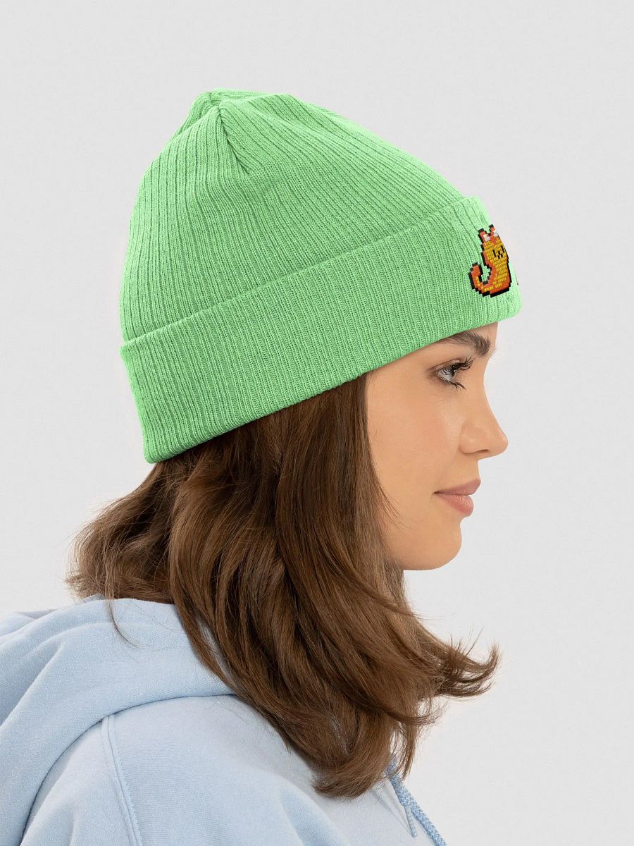 Send Noods Beanie product image (48)