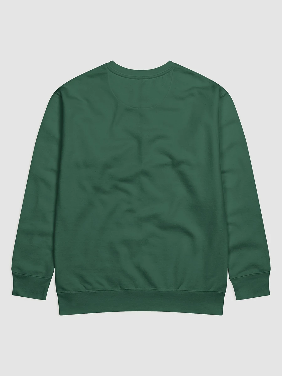 Hooded Pivot Sweatshirt product image (4)