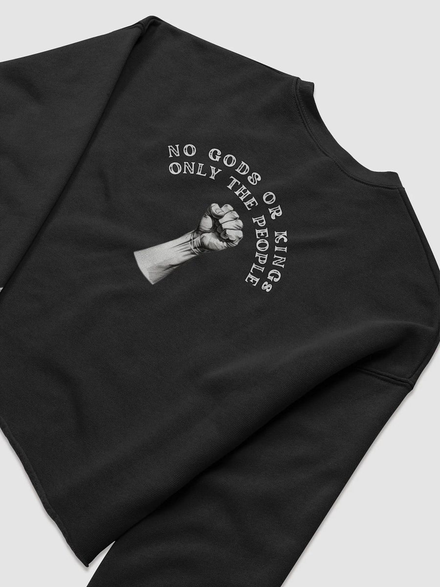 LIMITED - JUNE 2025 - FLAG DAY - NO KINGS - Crop Top Sweatshirt product image (6)