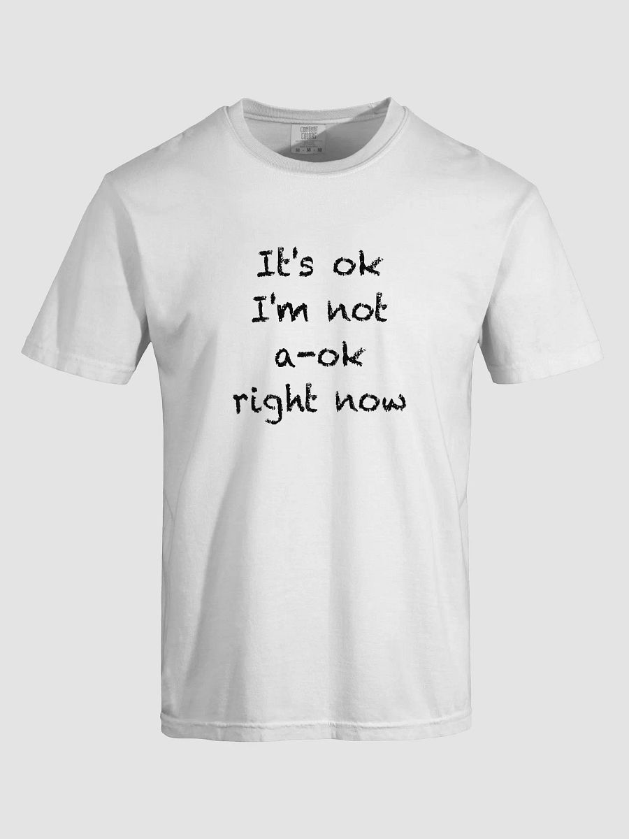 It's OK I'm Not A-OK Right Now product image (33)
