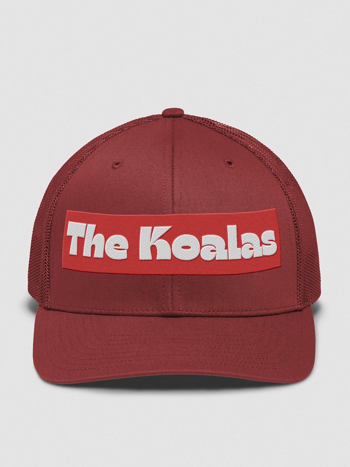 The Koalas Snapback cap product image (1)