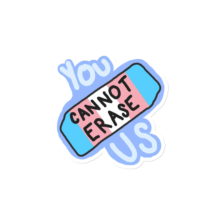 You Cannot Erase Us Pride Magnet product image (2)