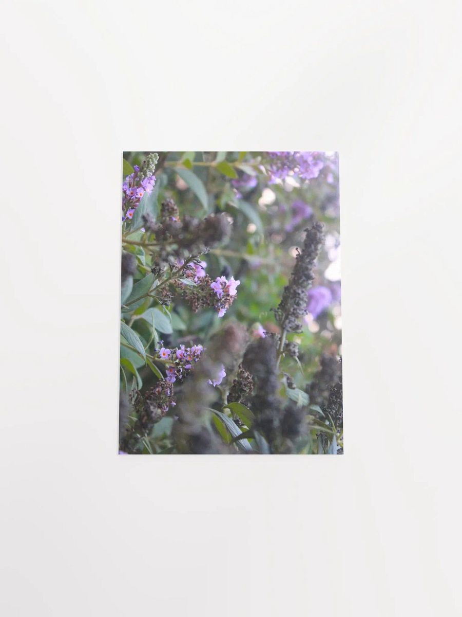 A Study in Flowers 6 product image (41)