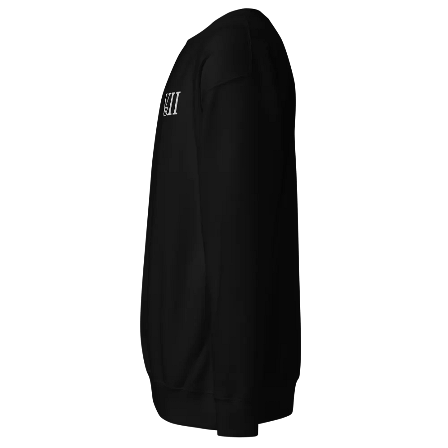 VBII Sweater product image (2)