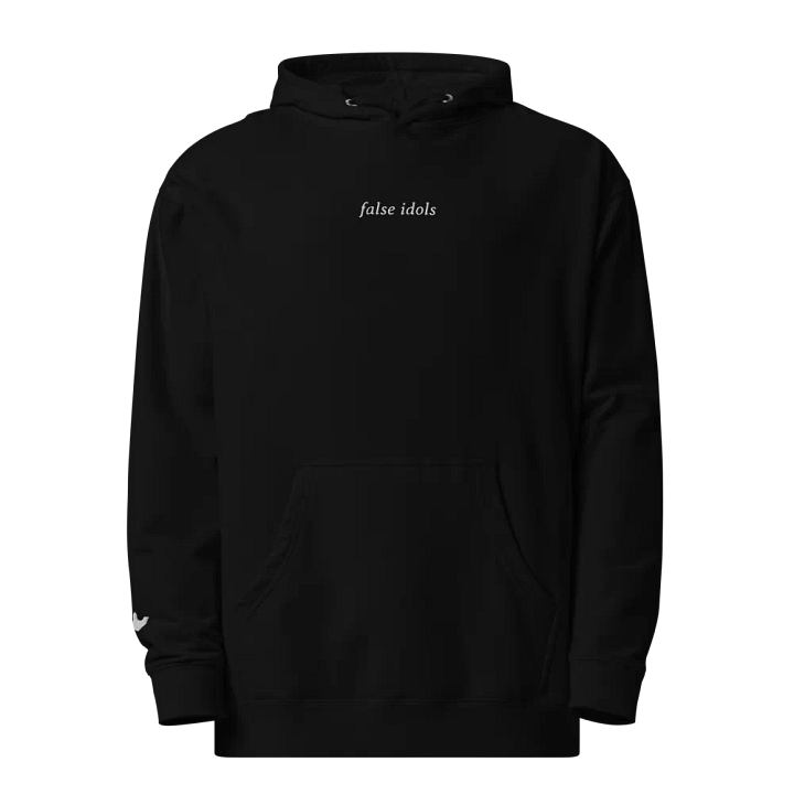 false idols embroidered midweight hoodie product image (1)
